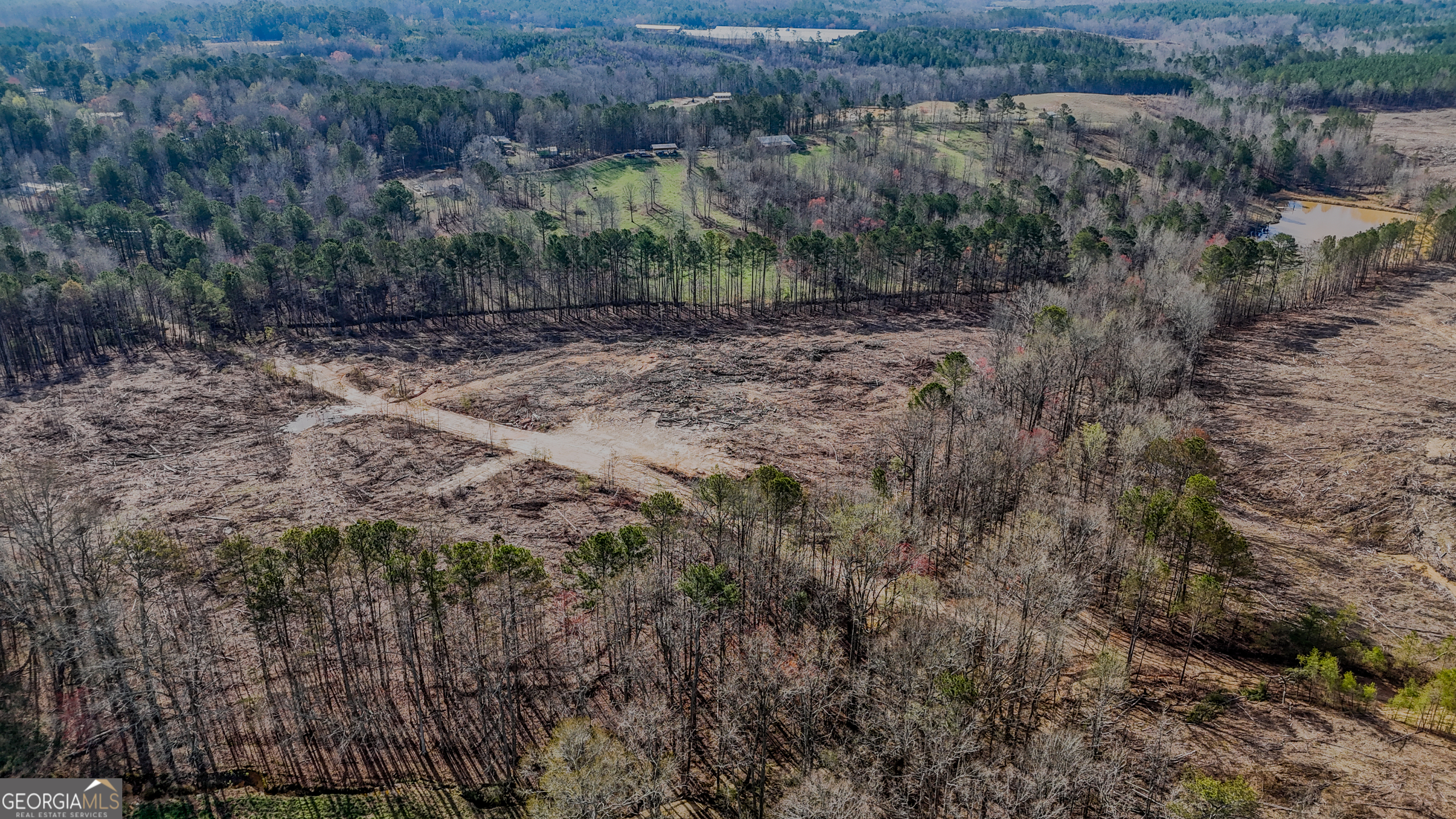 0 Hagood Road Tallapoosa, GA 30176 - Photo 6 of 19 a view of a dry yard with trees