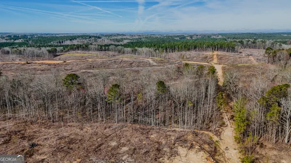 a view of a dry yard with trees