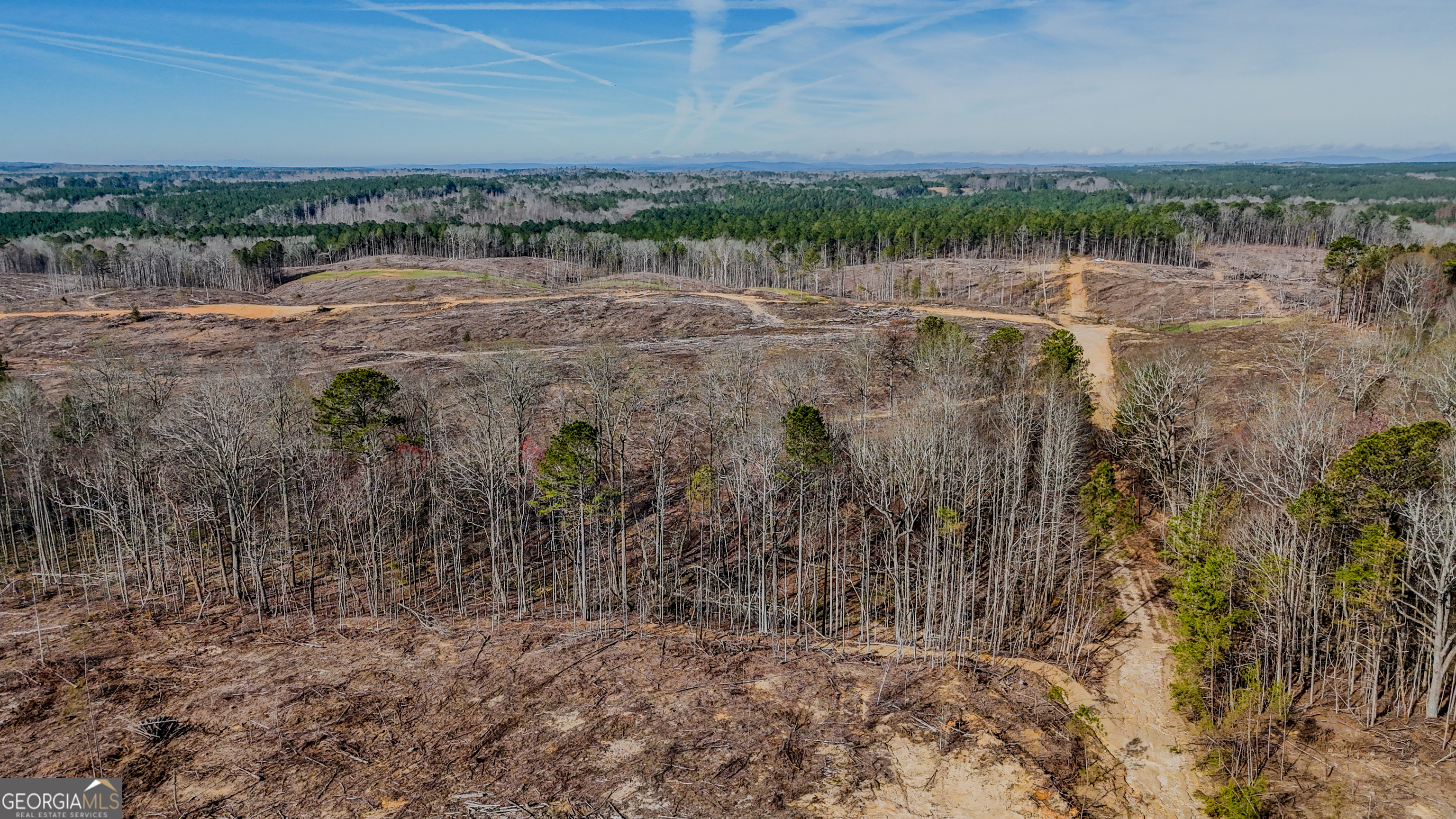 0 Hagood Road Tallapoosa, GA 30176 - Photo 7 of 19