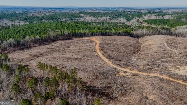 a view of a dry yard with trees