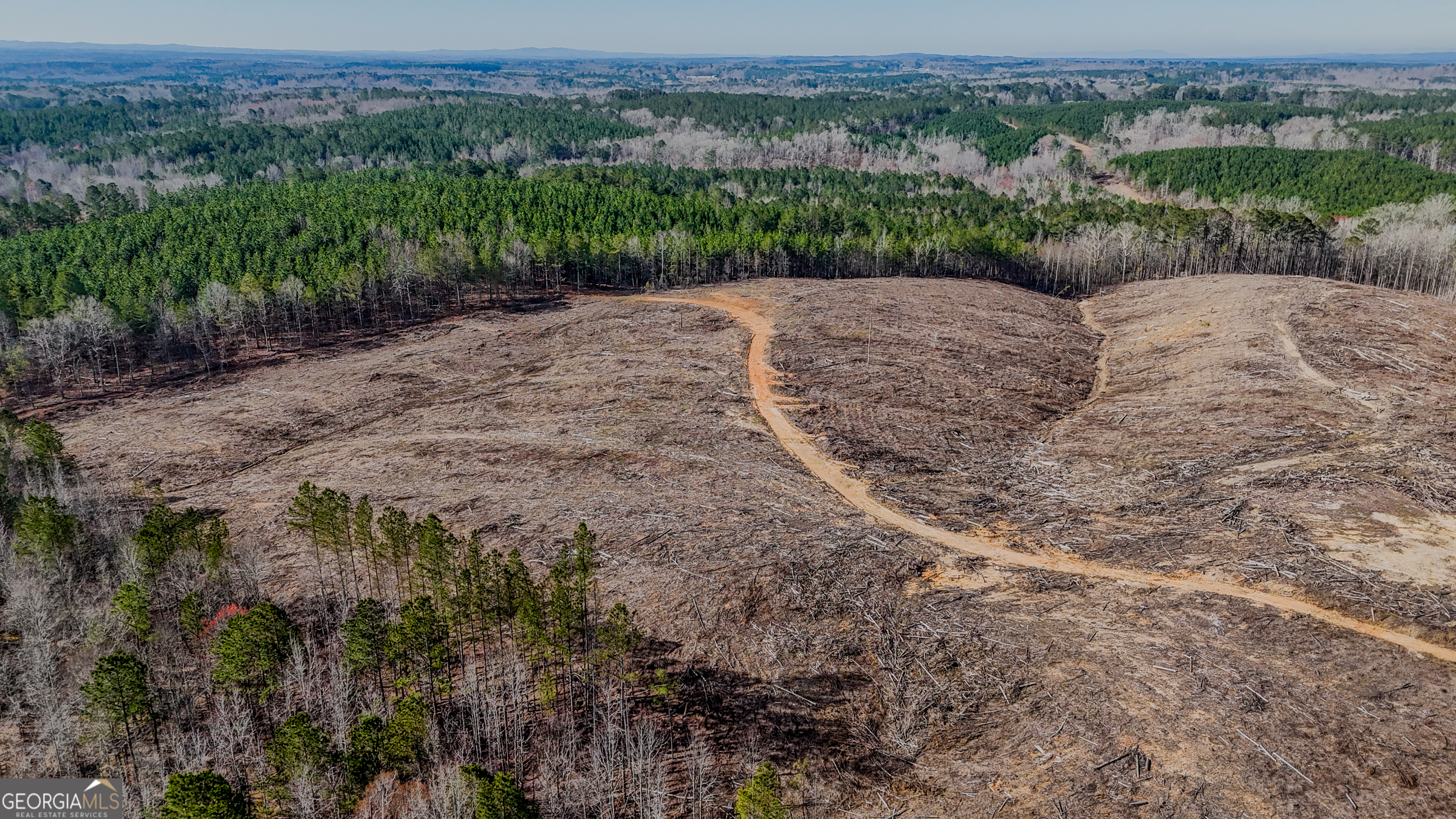 0 Hagood Road Tallapoosa, GA 30176 - Photo 8 of 19 a view of a dry yard with trees
