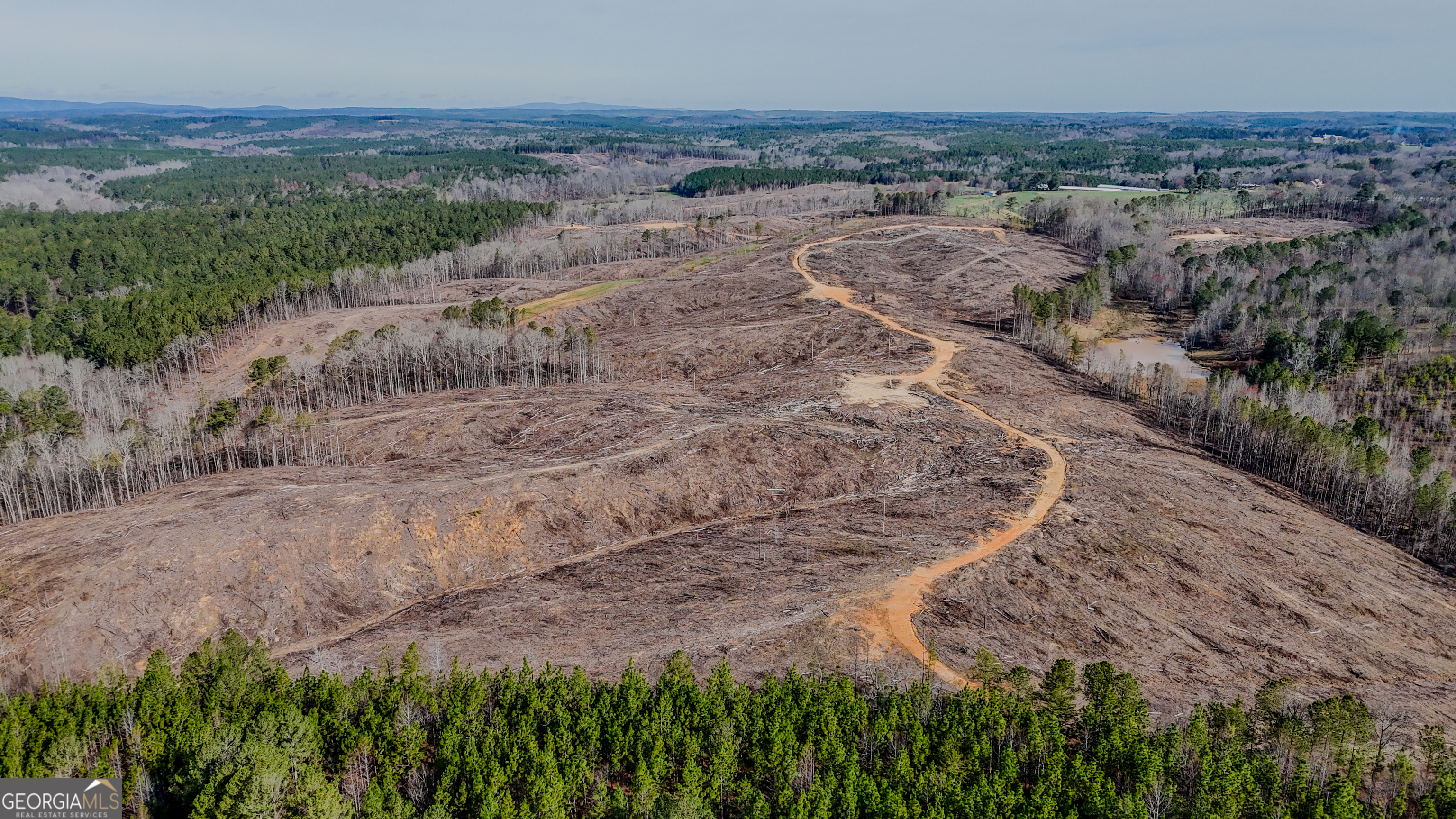 0 Hagood Road Tallapoosa, GA 30176 - Photo 9 of 19 a view of a dry yard with trees