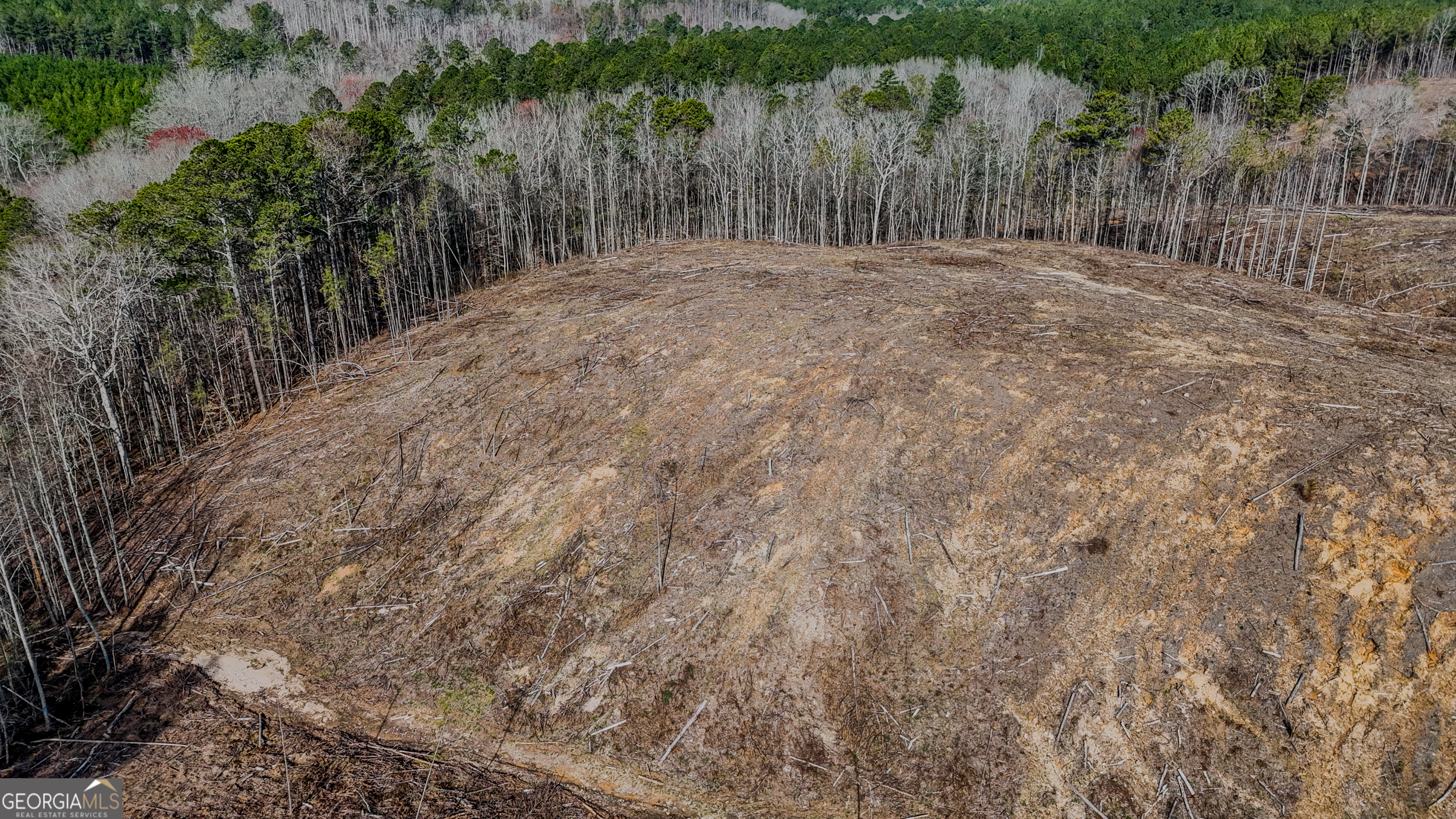 0 Hagood Road Tallapoosa, GA 30176 - Photo 10 of 19 a view of backyard with green space