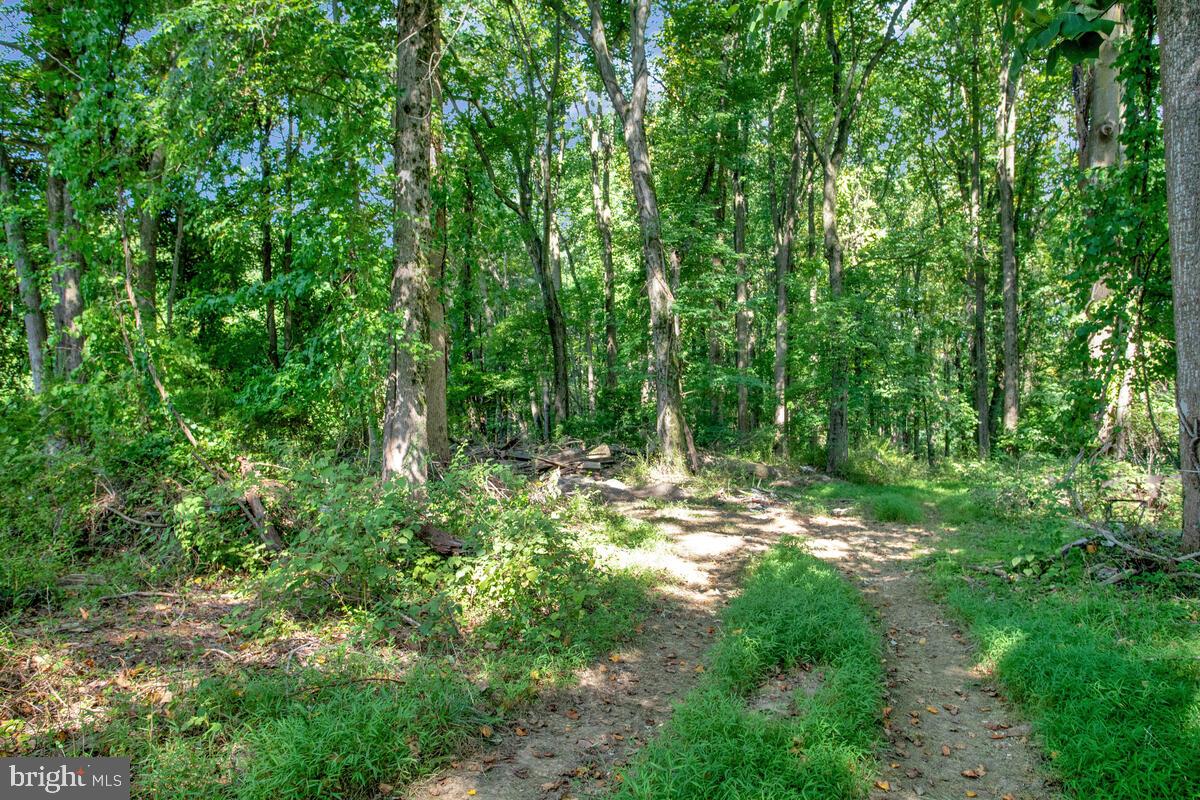 9105 Tower Road Randallstown, MD 21133 - Photo 50 of 51