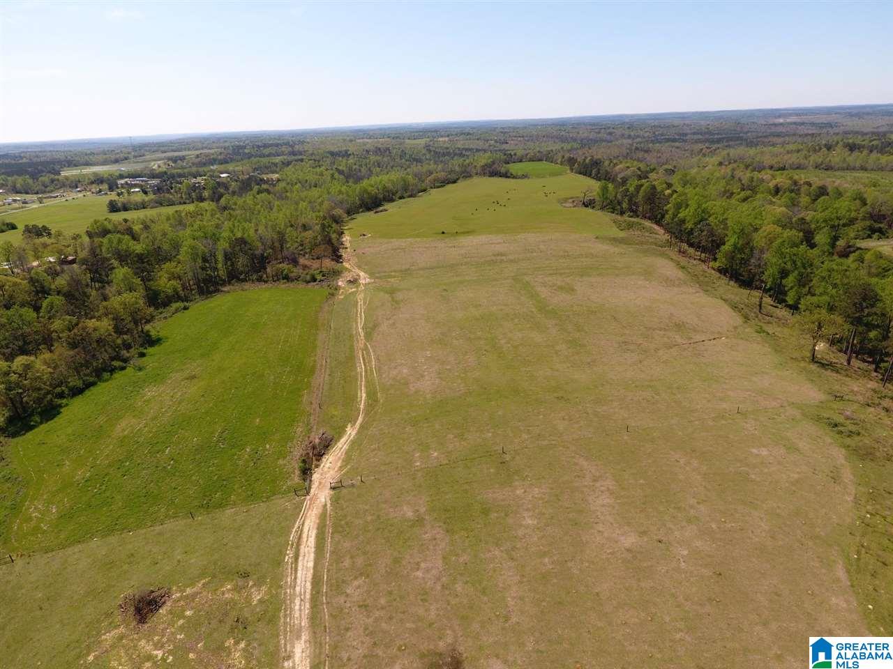 0 County Road 30, Unit 1 Clanton, AL 35045 - Photo 3 of 32