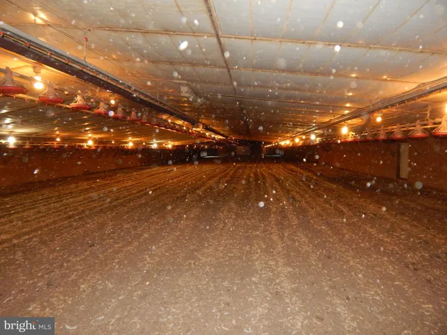 $2,800,000 | 568 Road 172, Hartly, DE 19953