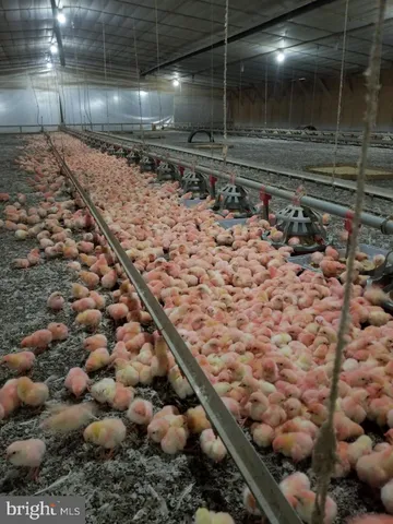 $2,800,000 | 568 Road 172, Hartly, DE 19953