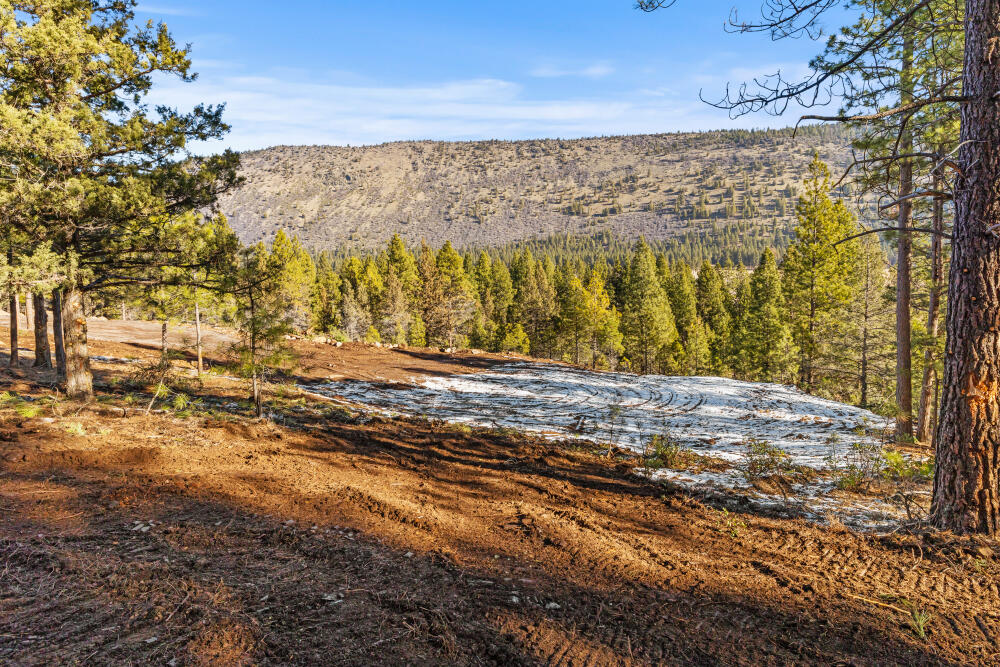 0 Simpson Canyon Road, Unit 15 Klamath Falls, OR 97601 - Photo 16 of 37 a view of a yard with wooden fence