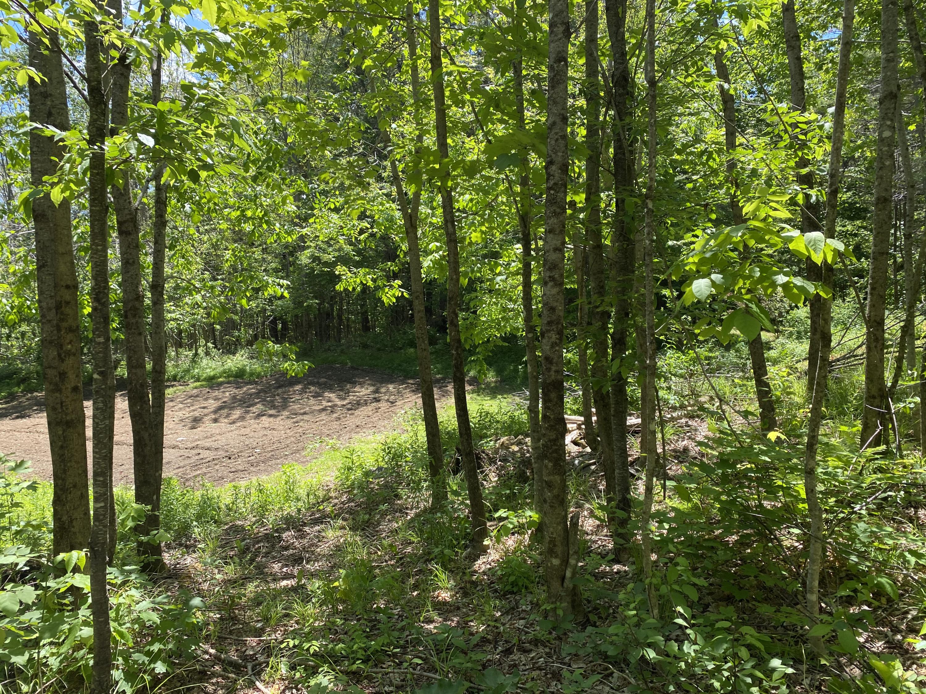 35 Leeman Road Abbot, ME 04406 - Photo 45 of 52 Saplings