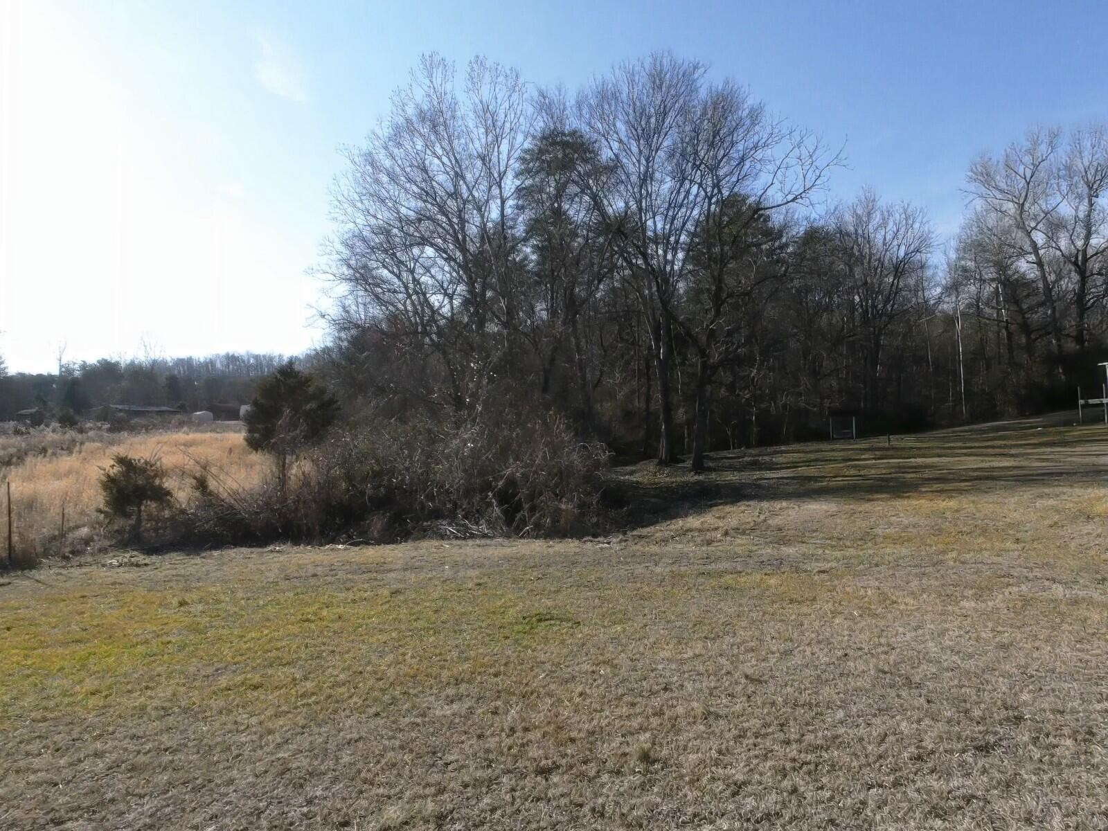 663 Fitch Road Ten Mile, TN 37880 - Photo 6 of 15 Gallery Image 6