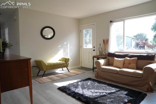 1663 Maxwell Street Colorado Springs, CO 80906 - Photo 6 of 23 Living room with light grey flooring and lots of sunlight