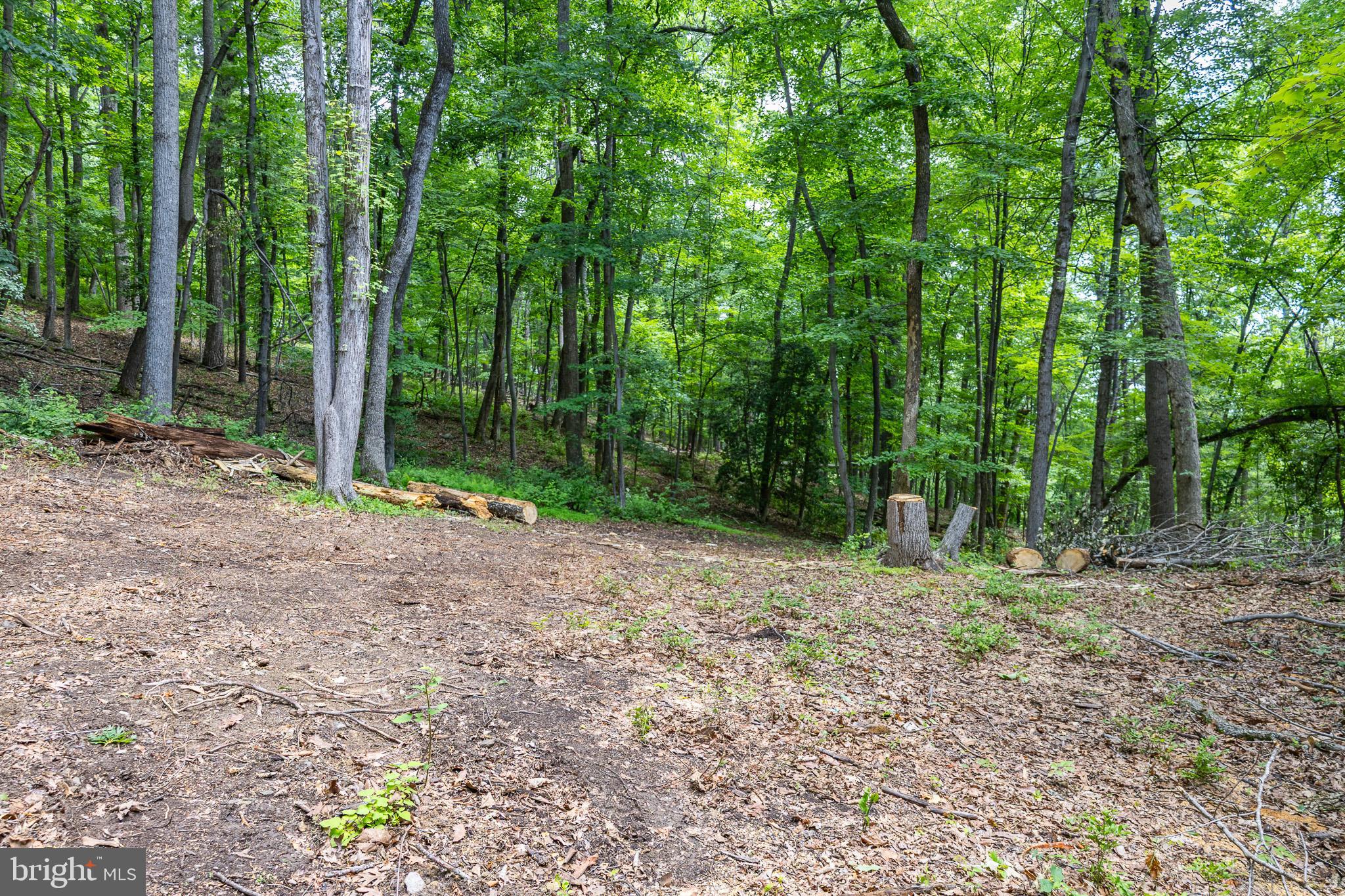 Tbd Comptons Road Castleton, VA 22716 - Photo 17 of 33