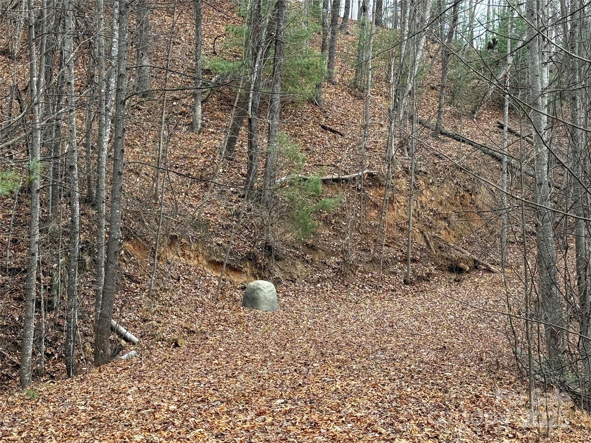 Tbd Casey Mountain Road, Unit 218 Purlear, NC 28665 - Photo 6 of 45 Gallery Image 6