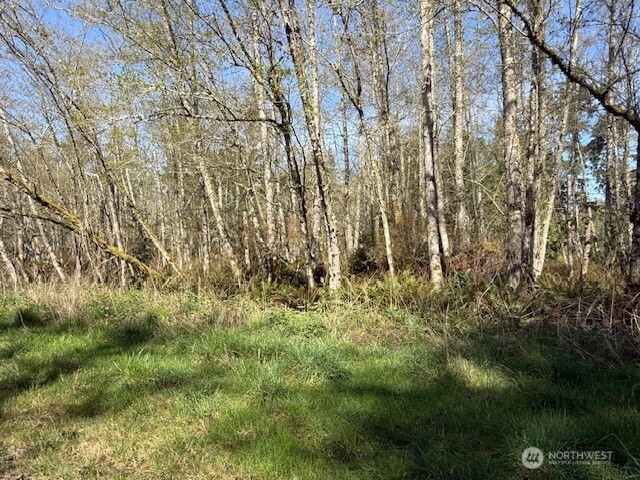 2 Ander Park Road Freeland, WA 98249 - Photo 2 of 4