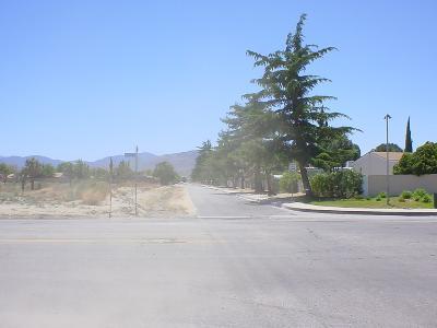 Primary Photo