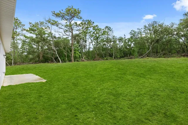 a view of a grassy field with trees