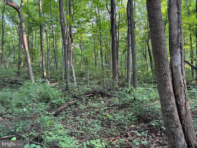 a view of outdoor space and green space