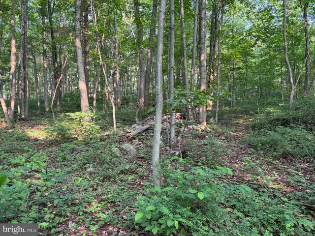 a view of outdoor space and green space