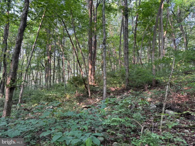 a view of outdoor space and green space