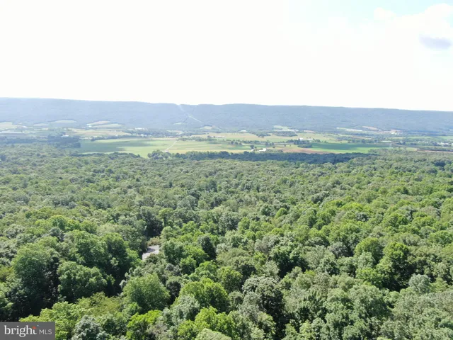 a view of a field with a mountain in the background