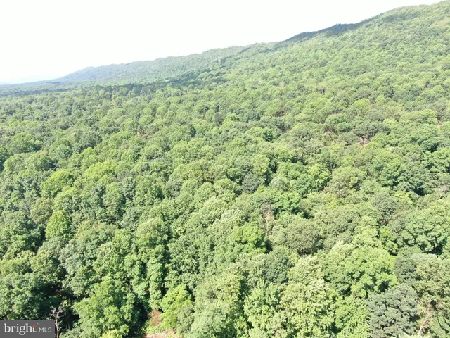a view of a lush green field with a mountain in the background