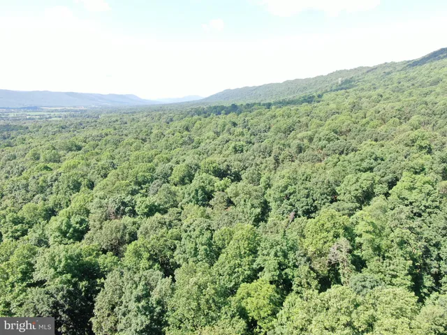 a view of a green field