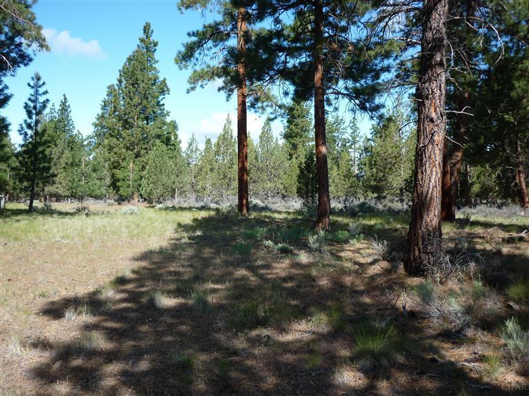 16160 Foothill Loop Sisters, OR 97759 - Photo 6 of 8 View from the SE Corner of the property