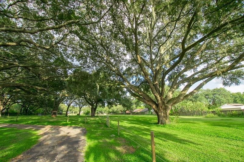 1609 Sydney Road Valrico, FL 33594 - Photo 4 of 25 Gallery Image 4