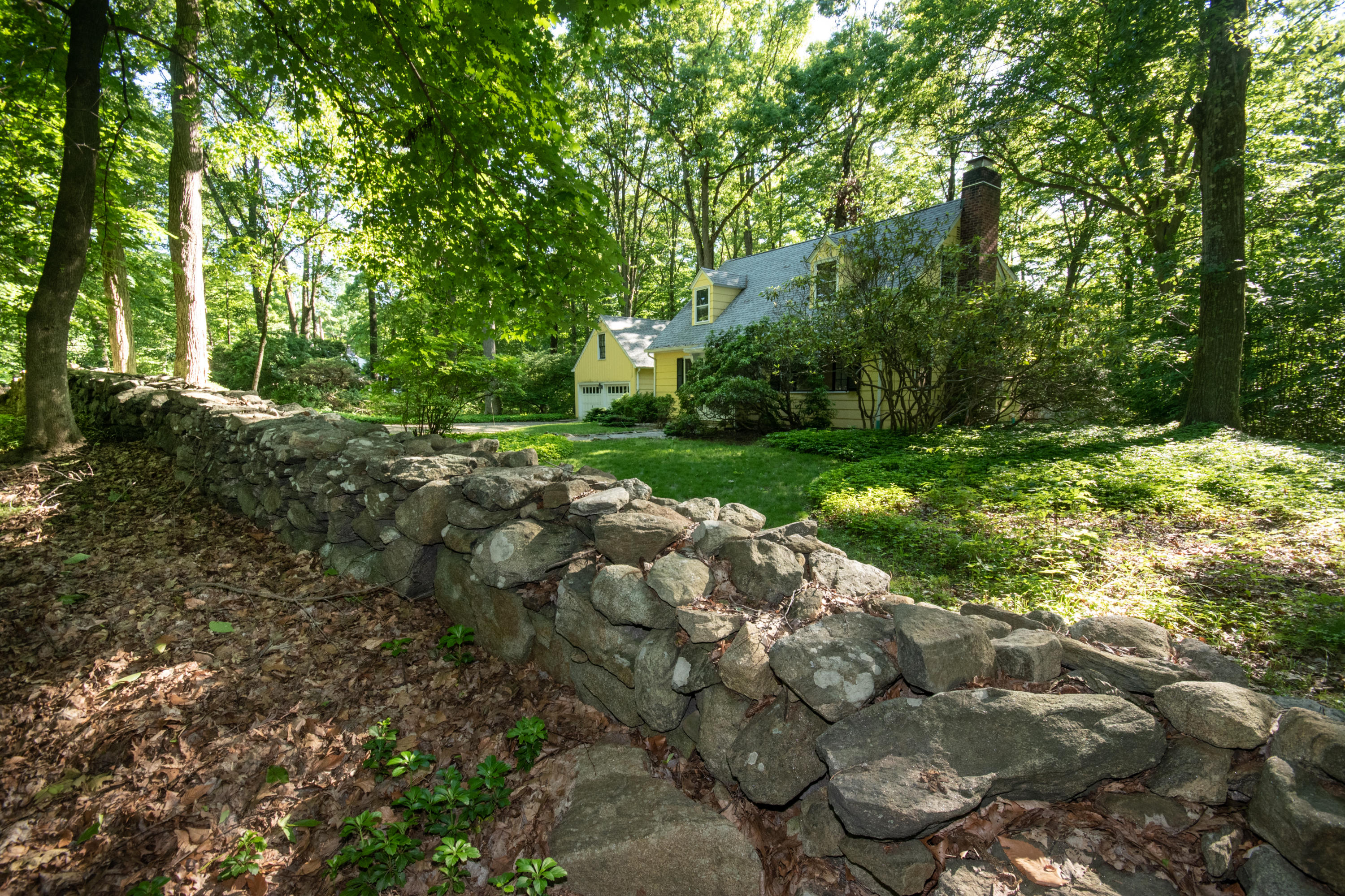 792 Smith Ridge Road New Canaan, CT 06840 - Photo 17 of 18 a view of a lush green forest
