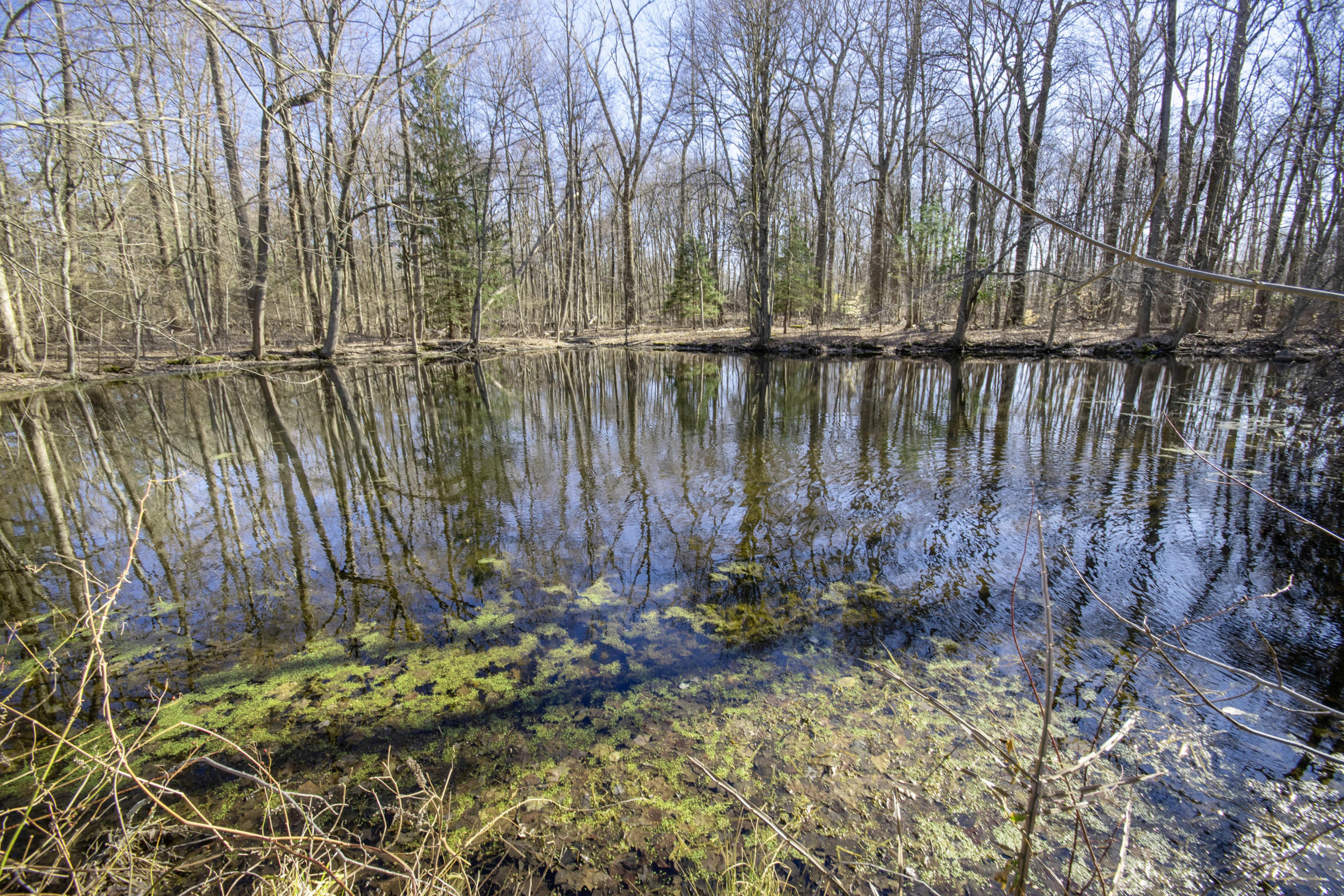 792 Smith Ridge Road New Canaan, CT 06840 - Photo 18 of 18 a view of lake with a bench