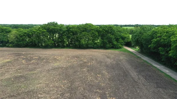 a view of a field with trees in the background