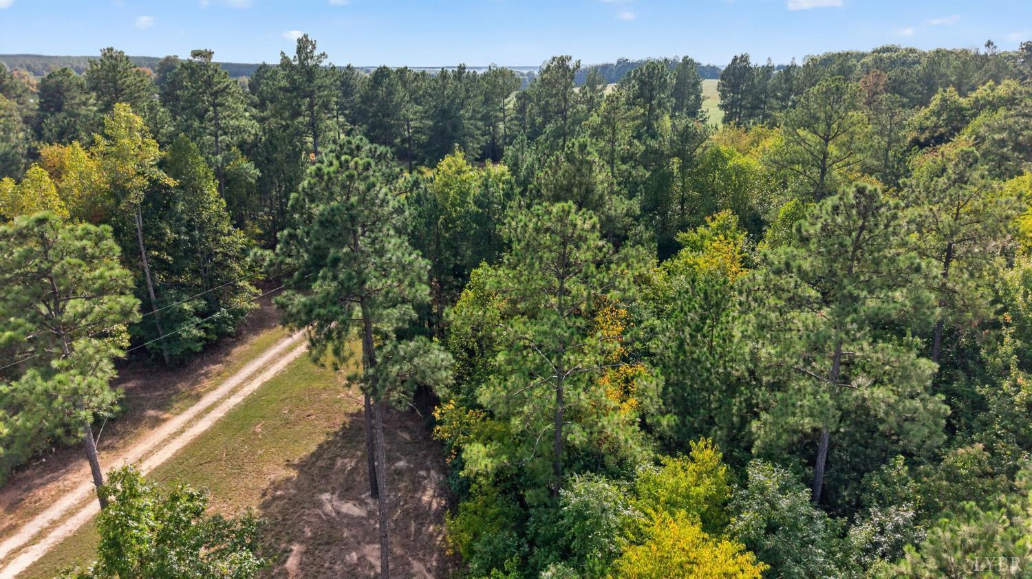 8882 Spring Mill Road Concord, VA 24538 - Photo 61 of 88 Gallery Image 61