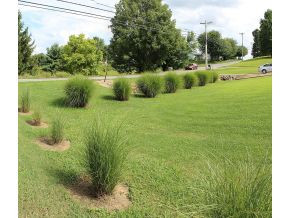 2060 Buckingham Road Greeneville, TN 37745 - Photo 4 of 24 Photo 4