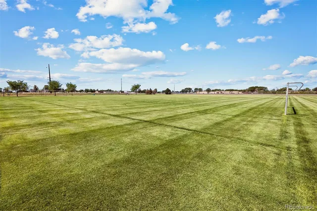 a view of a golf course with chairs