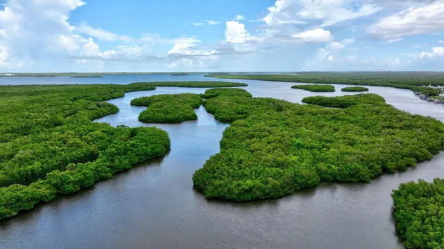 a view of a hallway with wooden floor and a bathroom