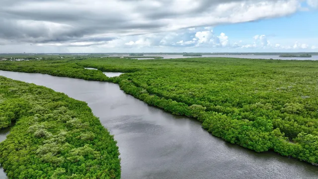 a view of a dining area with furniture window and wooden floor