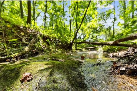 $624,900 | 120 Brookhaven Trail, Blue Ridge, GA 30513