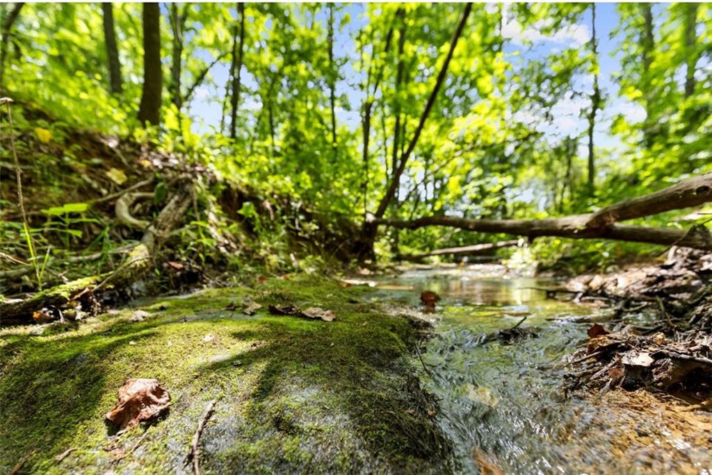 120 Brookhaven Trail Blue Ridge, GA 30513 - Photo 90 of 100
