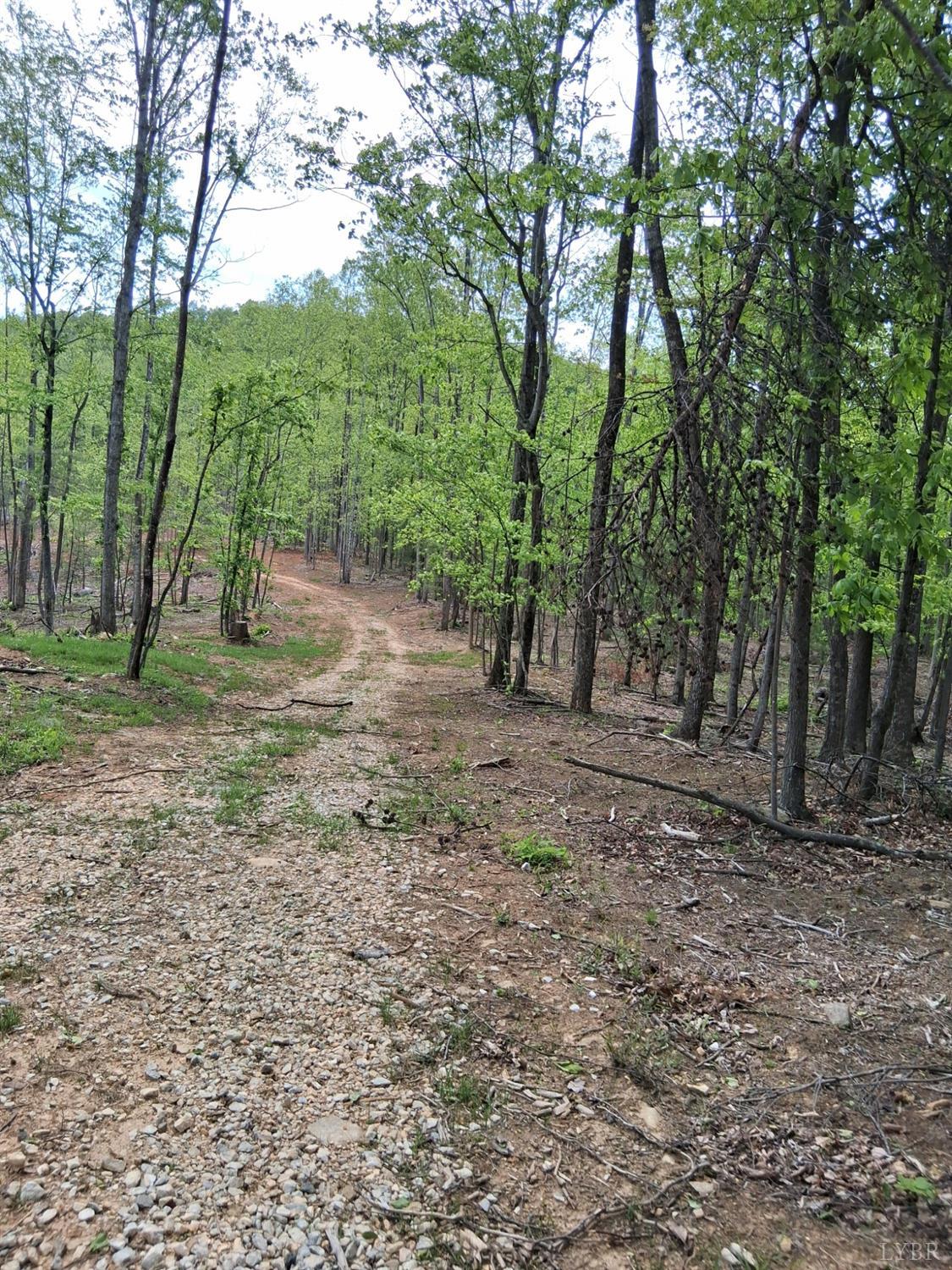 0 Robinson Gap Road Monroe, VA 24574 - Photo 2 of 44 Gallery Image 2