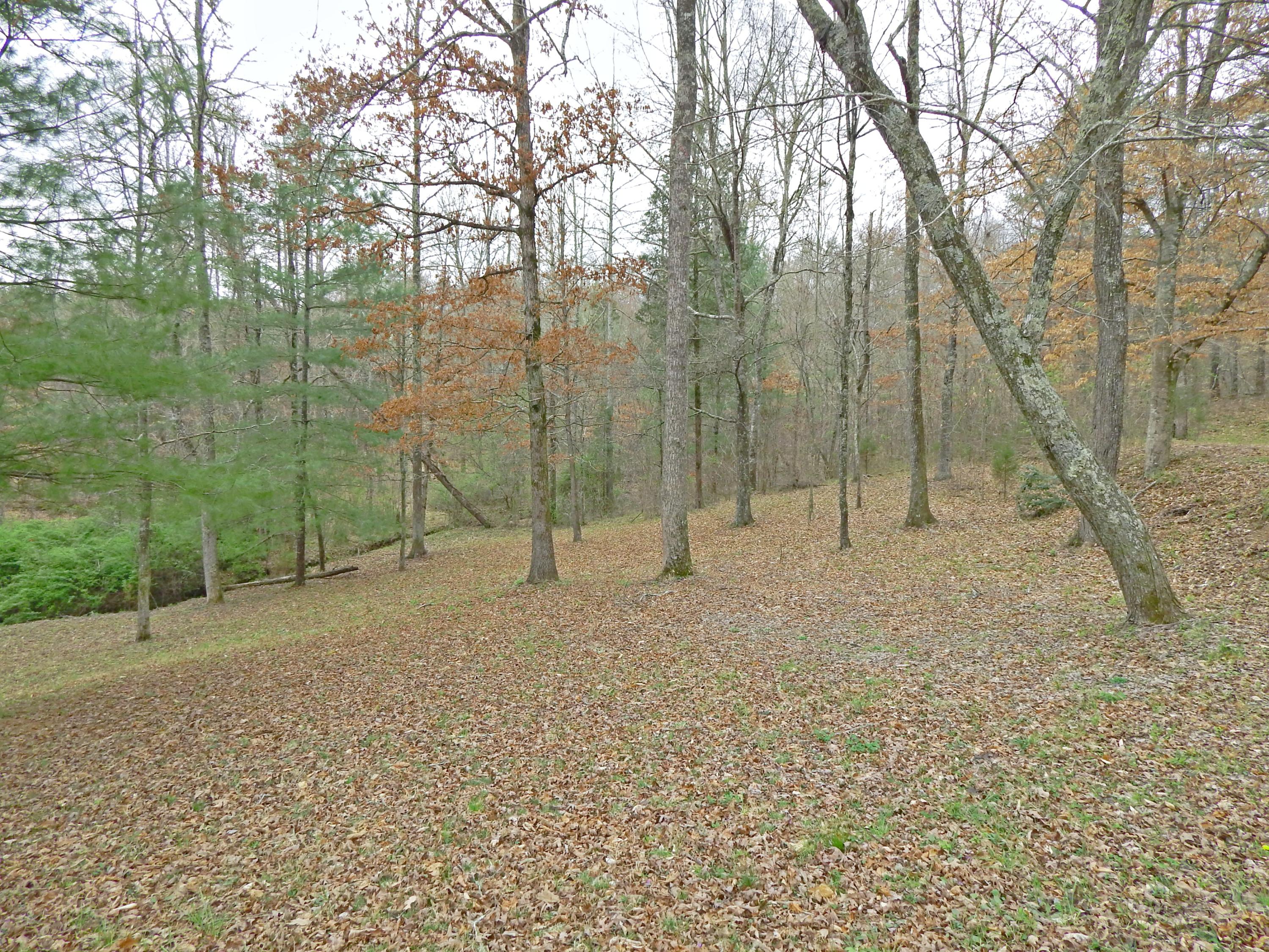 209 Rays Park Road Harriman, TN 37748 - Photo 23 of 28 19