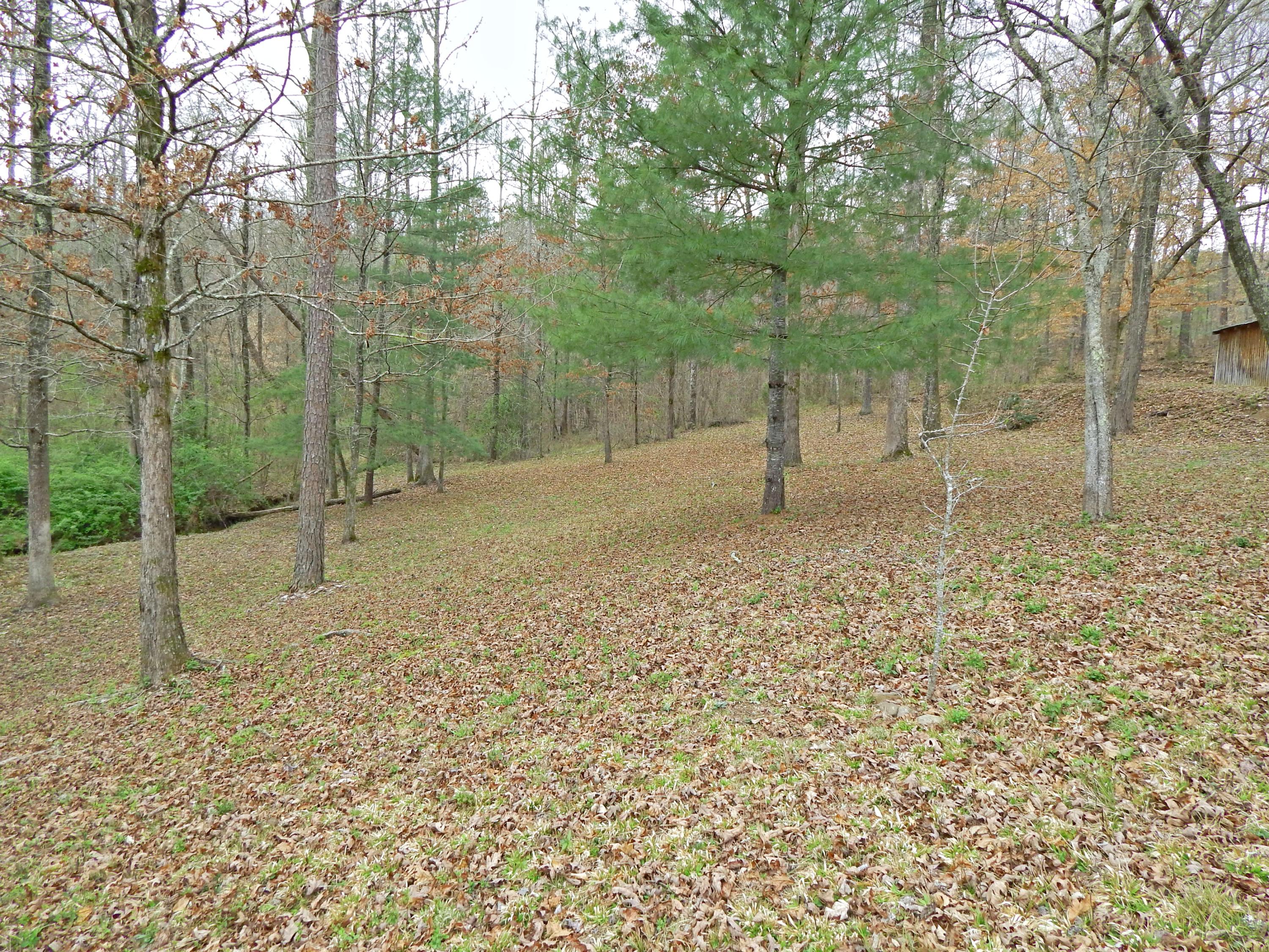 209 Rays Park Road Harriman, TN 37748 - Photo 5 of 28 25