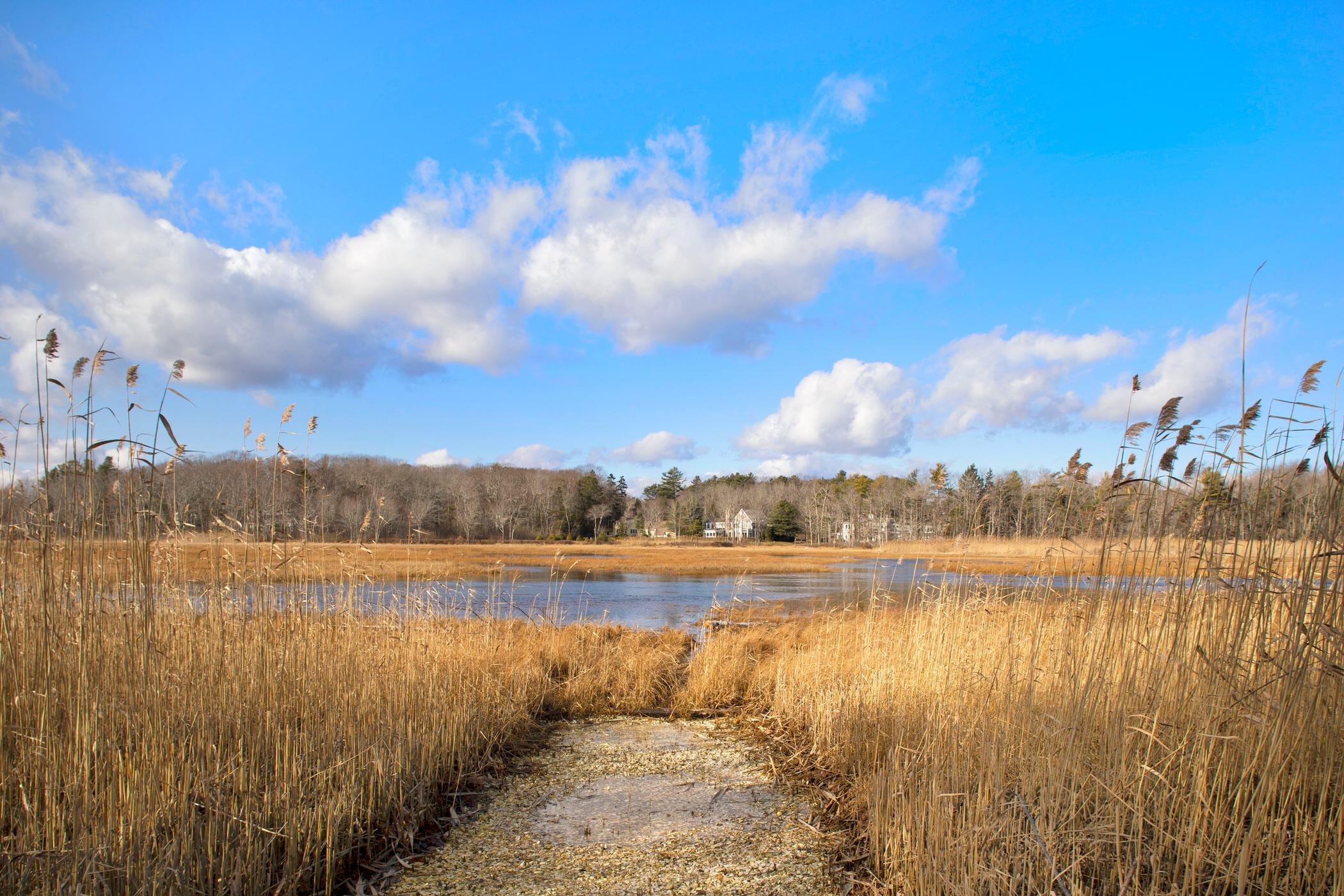 20 Surf Lane Kennebunk, ME 04043 - Photo 15 of 59 packmaynard_ewyman_20surflnkennebunkport
