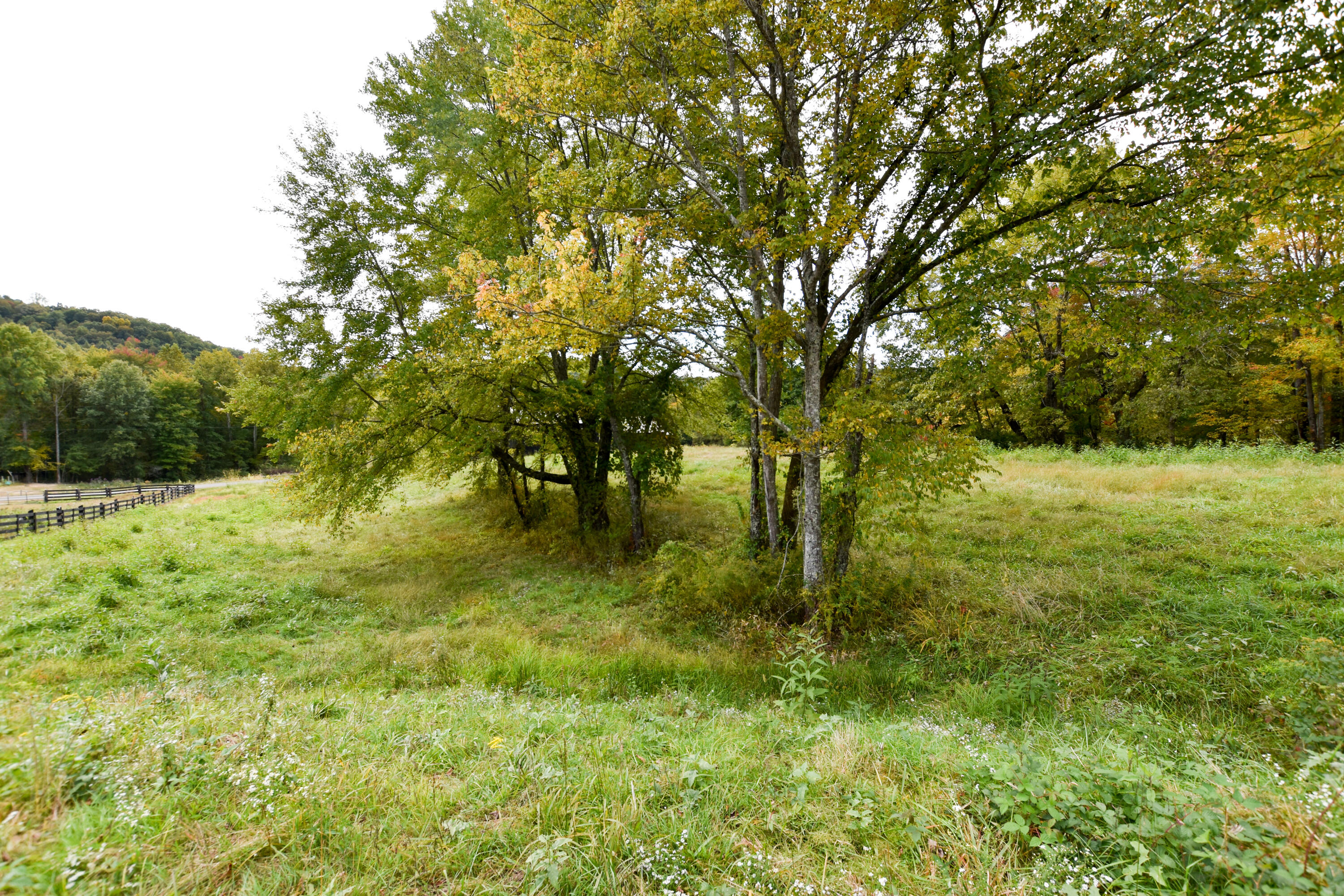 2390 Beechy Creek Road Wallingford, KY 41093 - Photo 78 of 89 DSC_0140