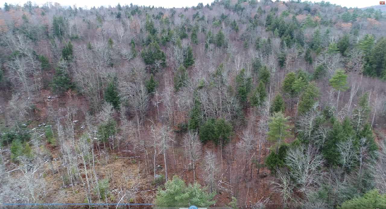 6-93 Clothespin Bridge Road Webster, NH 03303 - Photo 19 of 30