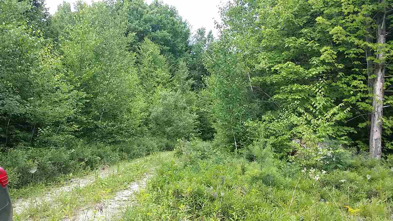 6-93 Clothespin Bridge Road Webster, NH 03303 - Photo 4 of 30