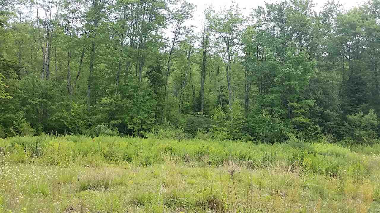 6-93 Clothespin Bridge Road Webster, NH 03303 - Photo 8 of 30