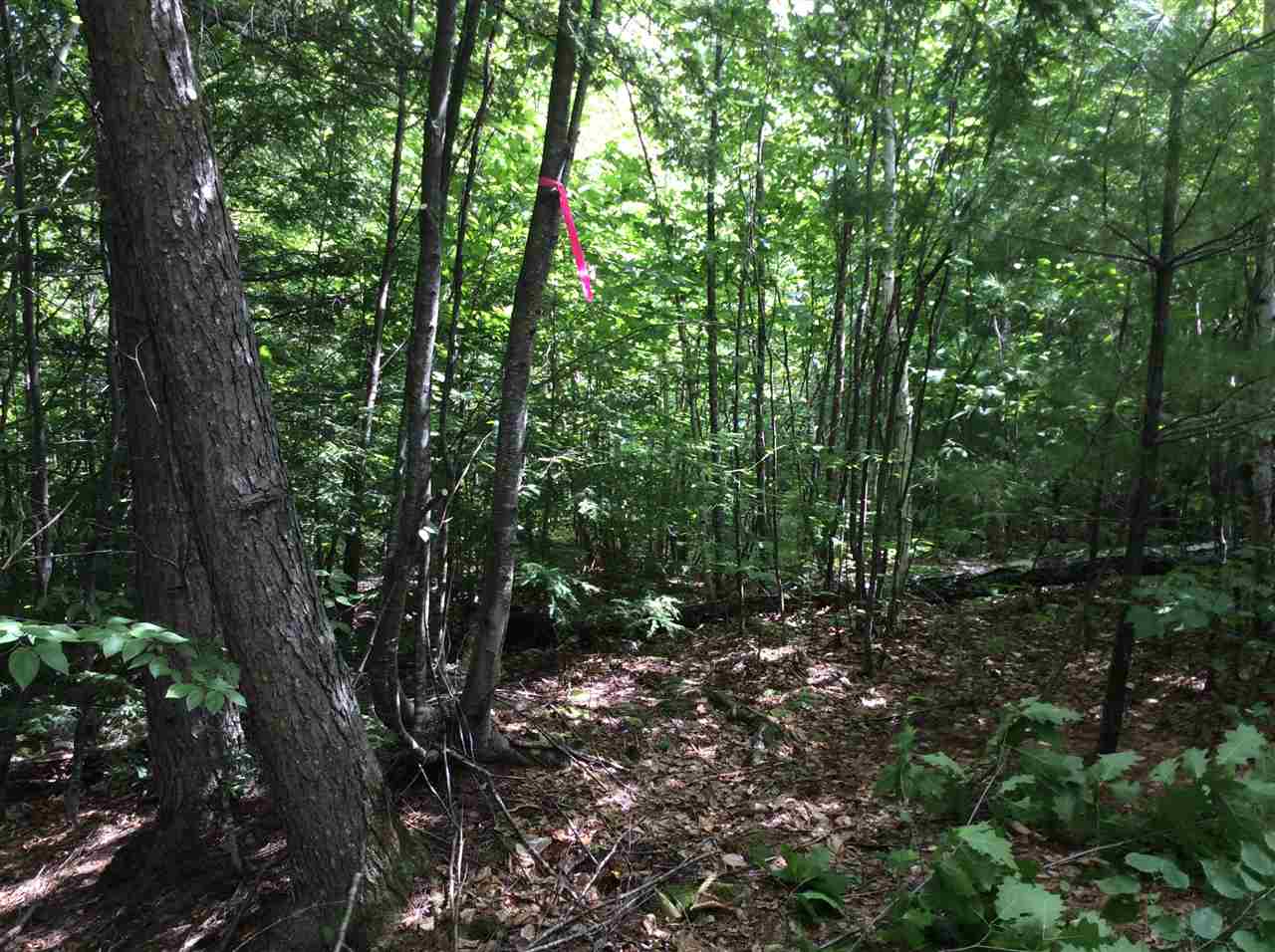 6-93 Clothespin Bridge Road Webster, NH 03303 - Photo 10 of 30