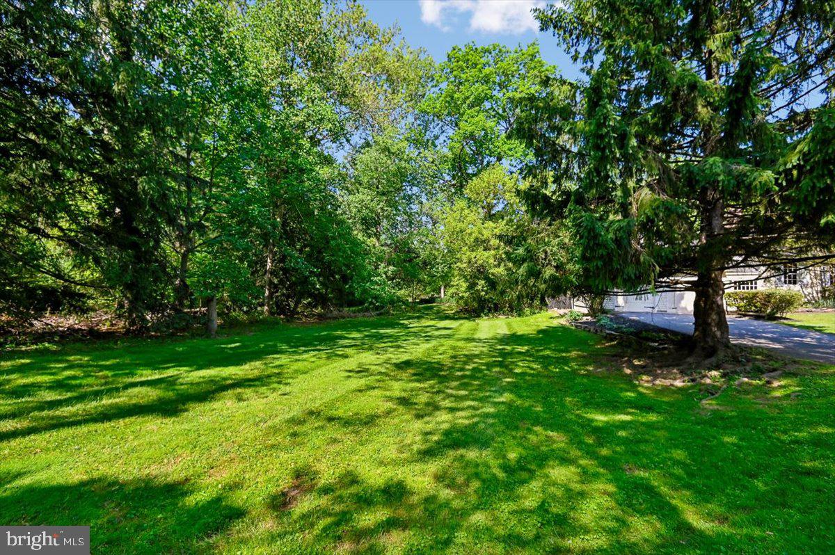 7808 Ruxwood Road Baltimore, MD 21204 - Photo 5 of 25 Level 1.2 acre yard