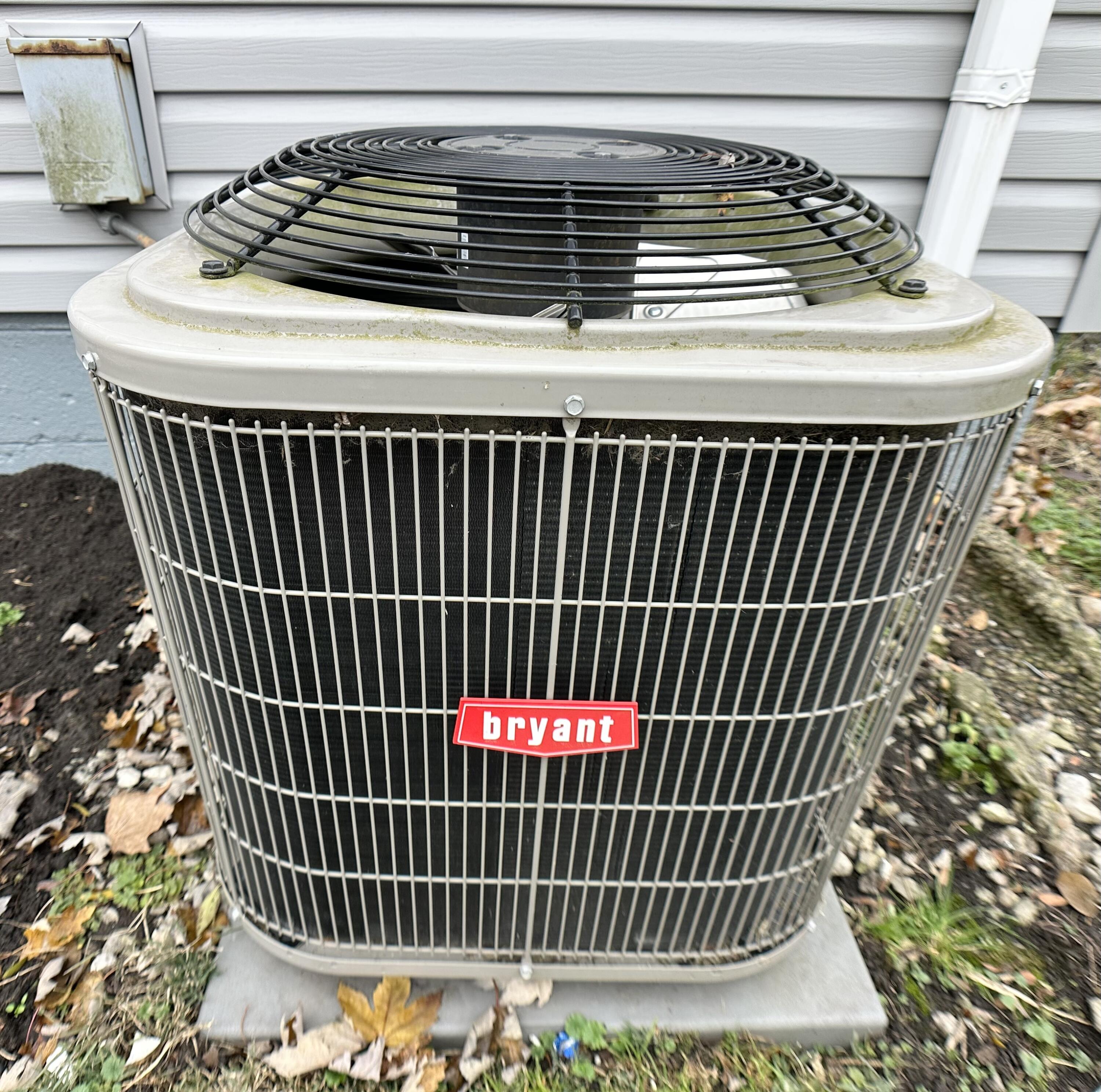 306 Maple Street Crown Point, IN 46307 - Photo 19 of 21 a close view of a fireplace
