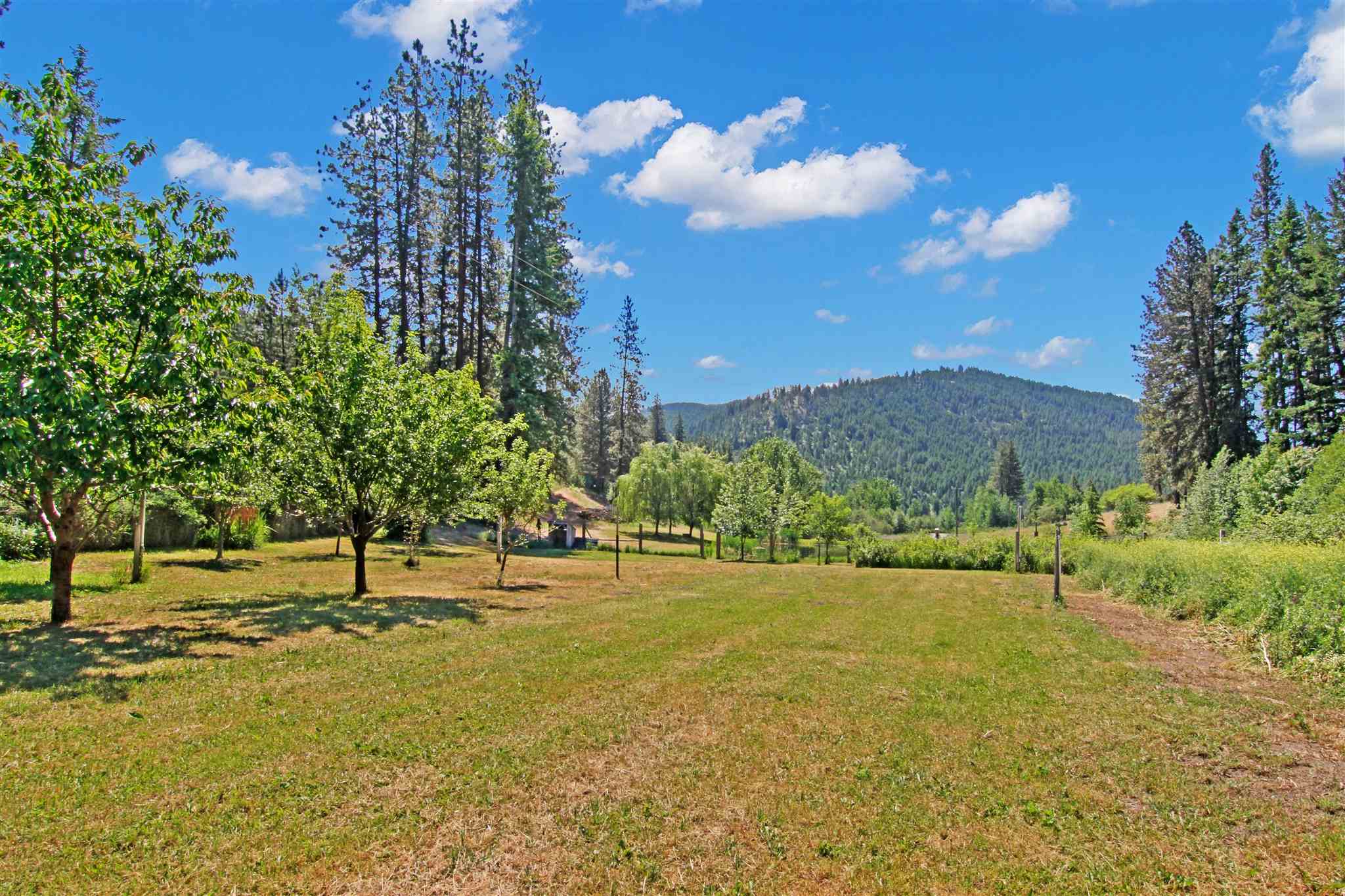3424 Cedonia-Addy Road Hunters, WA 99137 - Photo 22 of 39